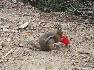 Que Pasa? Lunch at Summerland