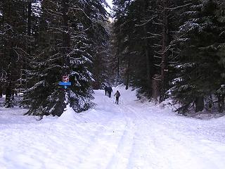 Reaching Hovey Creek XC trail