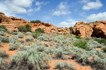 Multicolor desert