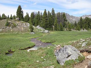 Part of the trail was stream