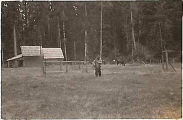 Smith Place - Queets Valley - 1930s - View north from center of clearing. Structure in background presumably barn/woodshed. photo courtesy S. Martinson