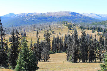 views near sunny  pass