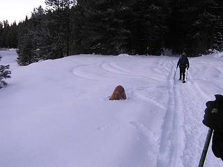 Looking for buried treasure