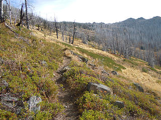 Approaching the ridge