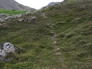 trail through the heather