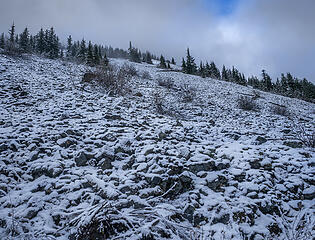 The north slopes of Mt Gardner have lots of talus . . .
