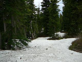 More dirty snow on the way down to Deception Pass.