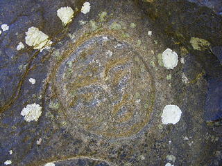 Makah petroglyph at Wedding Rock