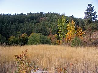 Lower meadow and old homestead site.