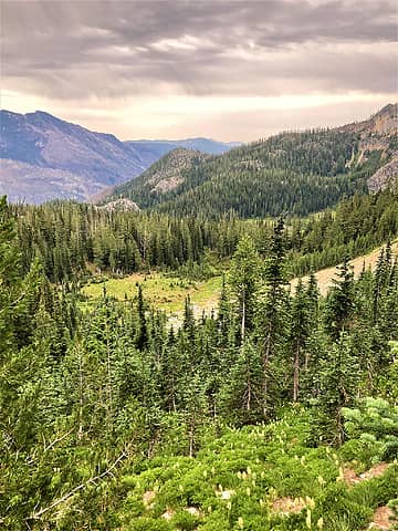 Small meadow below Pomas trail.