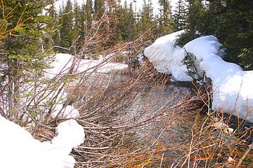 River Crossing @ Lower Meadow = Dicey