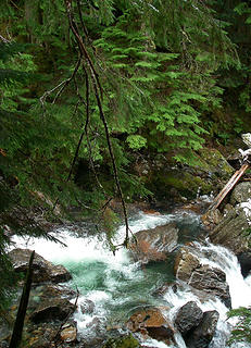 Wild Elliot Creek