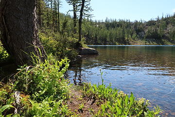 Lake Doris