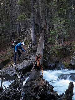 Crossing the creek