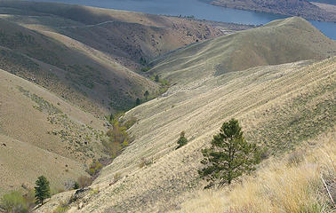 Swakane Cyn gully and slopes, Columbia Rv in background