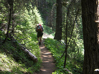 Armed forest ranger heading up Crystal Lake trail.