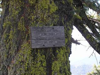 Intersection with County Line trail just after Iron Bear Peak