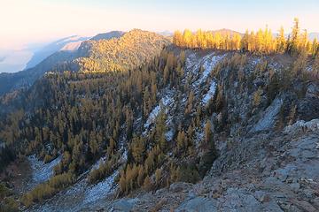 Larches on the shadowing side of our balcony camp