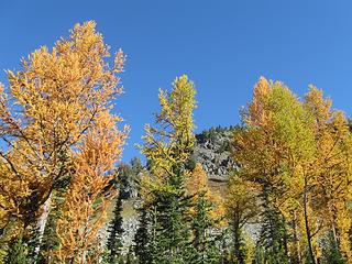 Carne Mountain behind Carne Basin larch