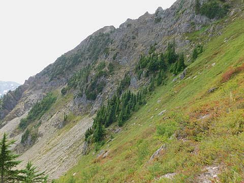 steep meadow slopes