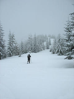 Lone Snowshoer