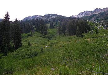 Looking up from the PCT toward Azurite Pass.