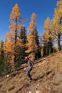 Carla descending from Graham