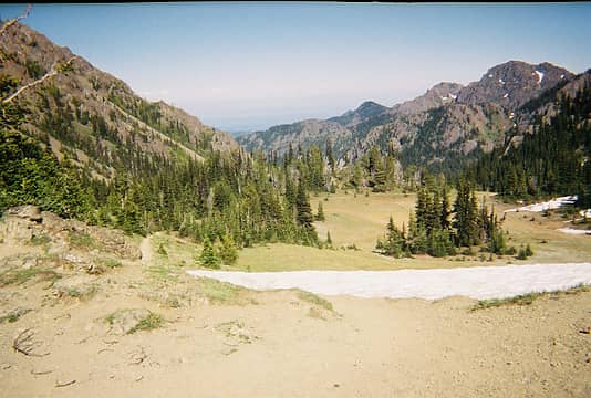 Looking back at the meadow from Marmot Pass.