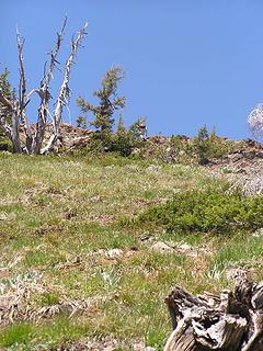 Barry heading up to Miller summit