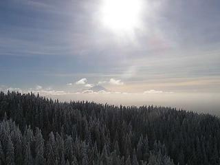 Mt. Rainier from Tiger 1