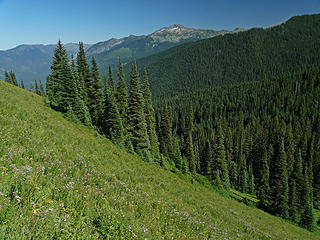 The end of the meadow hiking.  Cashmere in the distance