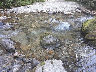 The ford of Thunder Creek, nothing like down below. The branches on the upper right didn't look like they would hold my weight.