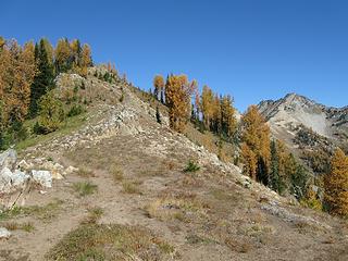 Carne Mountain trail