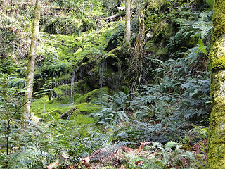 Waterfall on lower Chirico trail.