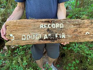 Record Douglas Fir Sign (front) 090620 SO