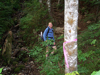 About to start up the first gully.