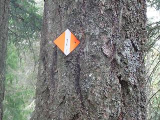 Trail marker