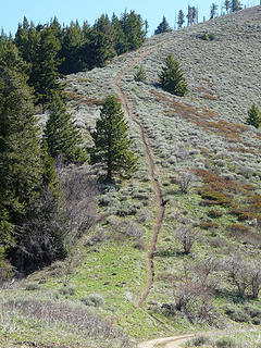 Mountain bike trail to Entiat Ridge.