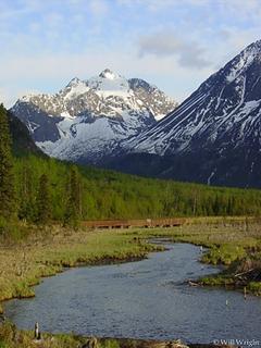 Eagle River Nature Center (3)