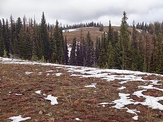 One of the contenders for Garfield County, West Diamond Peak. I tagged it just to be safe.