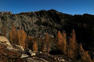 Moonlight on larches and Graham Harbor summit