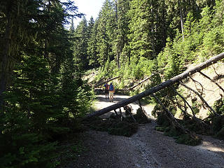 A half dozen downed trees stopped us about 1.5 miles before the trailhead.