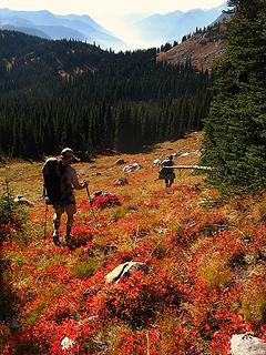 Traversing the last bowl of trees