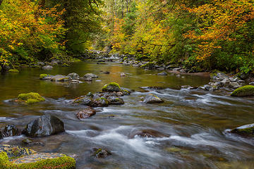 Olympic Peninsula 10-06-2017