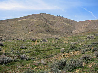 Rolling Hills below Horse Lake Mountain.