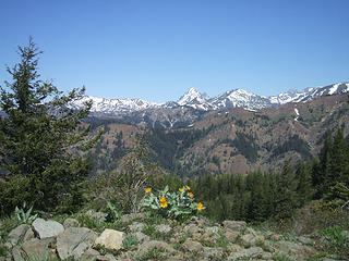 Mt. Stuart from Iron Bear