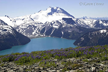 Mt Garibaldi & Lake