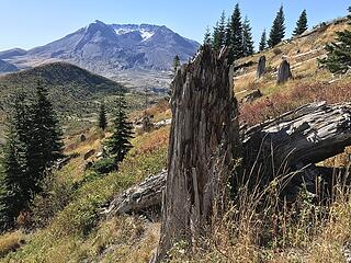 Mt. St. Helens