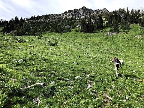 Meadow time