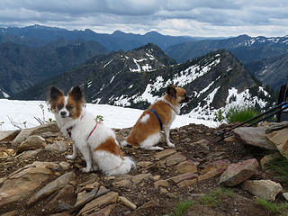 Pax, Bandit conquer Poe Mountain